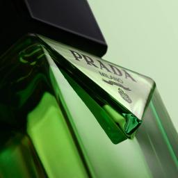 Prada Paradigme Eau de Parfum 50 ml