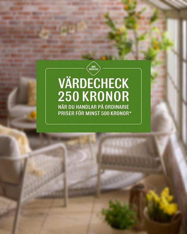 Ny värdecheck från Mio värde 250 kr