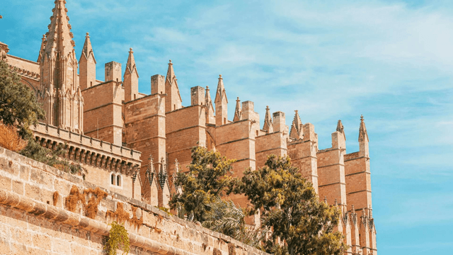 SAS Premium Travel and Tours