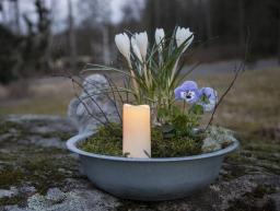 LED Gravljus Serene med Timer och Sensor