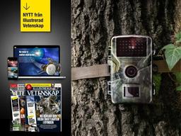 3 tidningar för 219 kr med gåva