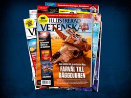 Få 3 tidningar för 219 kr med gåva