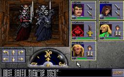 Forgotten Realms: The Archives Collection One