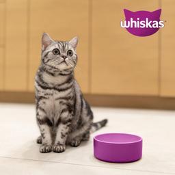 Whiskas 1+ Torrfoder med Nötkött