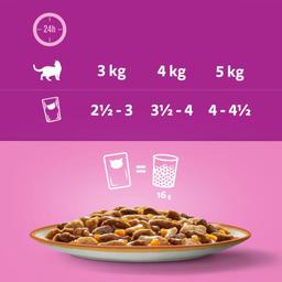 Whiskas Tasty Mix Multipack Portionspåsar 144x85g
