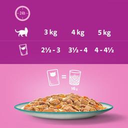 Whiskas Tasty Mix Multipack Portionspåsar 144x85g