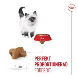 Royal Canin Kitten Torrfoder