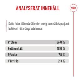 Royal Canin Kitten Torrfoder