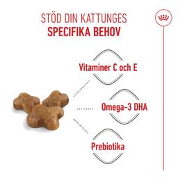 Royal Canin Kitten Torrfoder