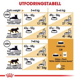 Royal Canin Ragdoll Adult Cat Food