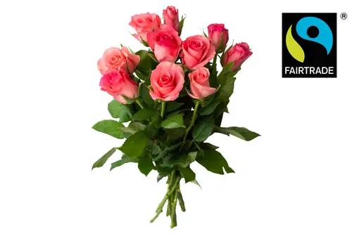 Blomsterboda rosor 10-pack, 35 cm 
