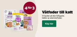 Aktiviteter och evenemang för djurälskare