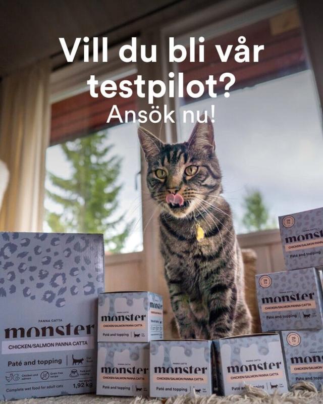 100 testpiloter sökes för katt