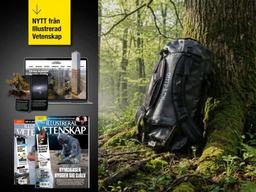 2 tidningar för 169 kr med gåva
