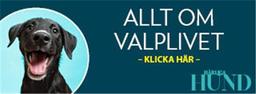 Valpbag Portable Diaper Changing Pad