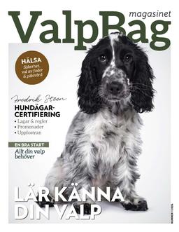 Valpbag Portable Diaper Changing Pad