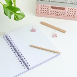 Erik Pusheen A5 Notebook