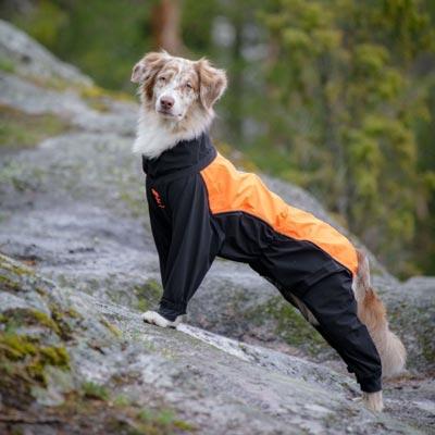 Sommarrea hos Arken Zoo