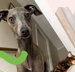 Gå med i Arken Zoo Kundklubb - få en gratis födelsedagspresent till din vän