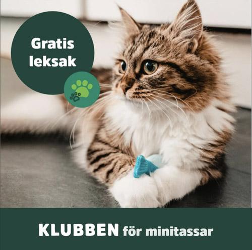 Arkenzoo.se - Medlemskap för minitassar