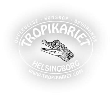 Unika Upplevelser på Tropikariet Helsingborg