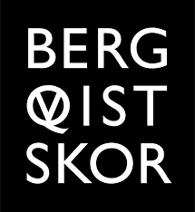 Bergqvist Skor