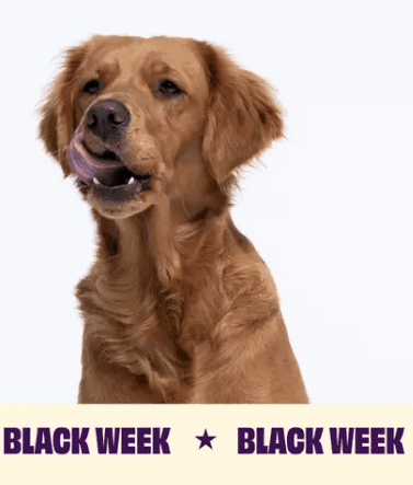 30 % rabatt på allt hos Petgood