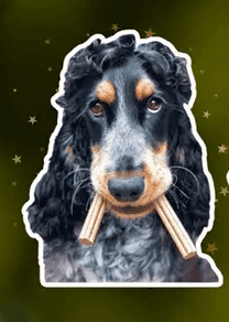 10 % alumnirabatt hos hundben.se