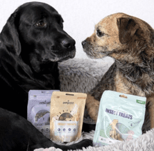 25 % rabatt på allt godis hos Petgood