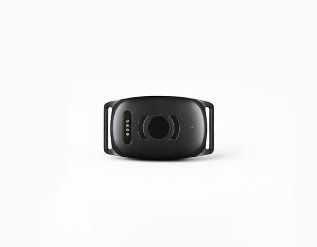 MiniFinder Atto Pro GPS Hundetracker