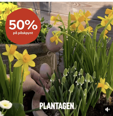 Plantagen - 50 % på påskdekorationer