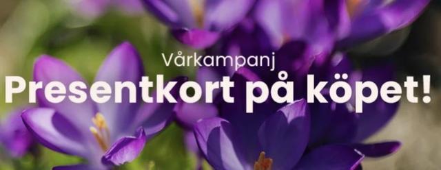 Få presenkort vid köp över 199 kr - Tidningskungen