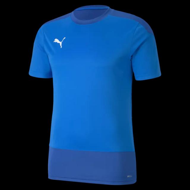 Puma teamGOAL 23 träningströja