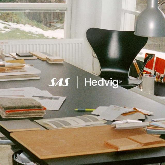 SAS EuroBonus-försäkring via Hedvig - få 5,000 SAS Eurobonus poäng - använd kod: U3BICQ för rabatt varje månad