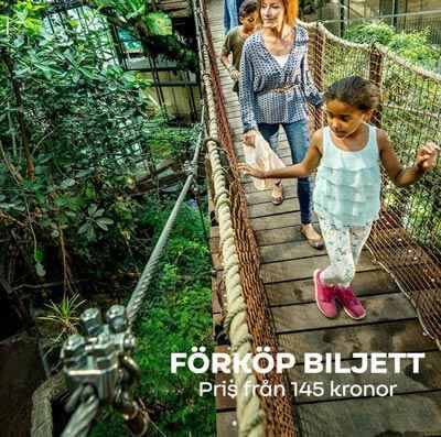 Sommar på Universeum i Göteborg