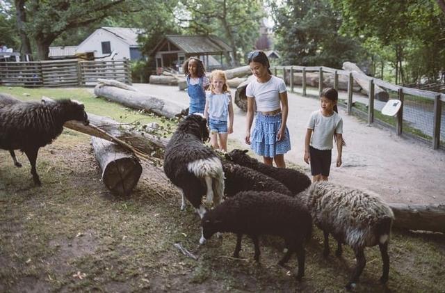 Betala för en vuxen och ta med dig två barn gratis på Skansen