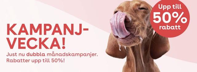 Upp till 50 % rabatt på ZOO.se
