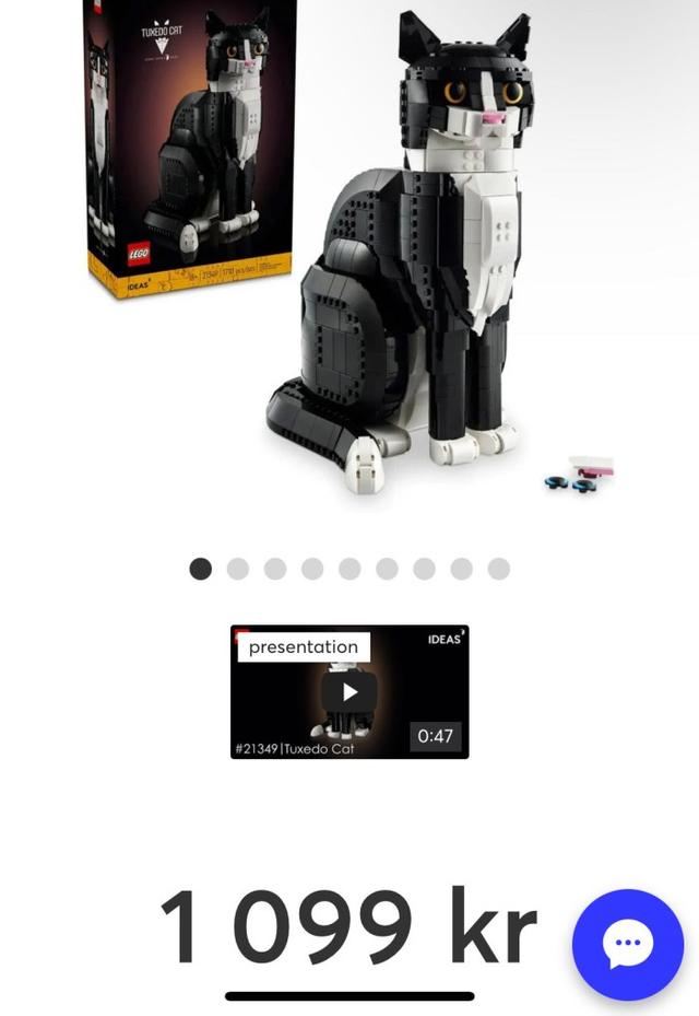 LEGO Ideas Svartvit Katt Set 21349