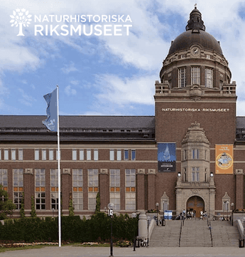 Entrébiljett till Naturhistoriska riksmuseet i Stockholm