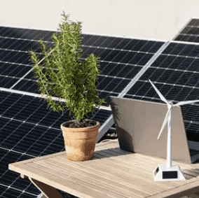 Få 12 månader utan fast avgift hos Greenely