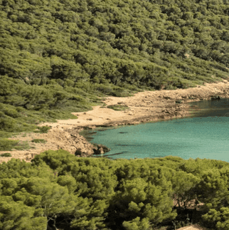 Få 1 000 kronor rabatt i sommar på Mallorca med Ving