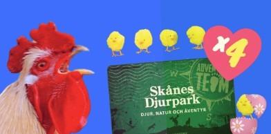 Skånes Djurpark - spara 1 399 kr på säsongskort
