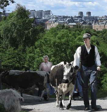 Upplev den svenska fäbodkulturen på Skansen