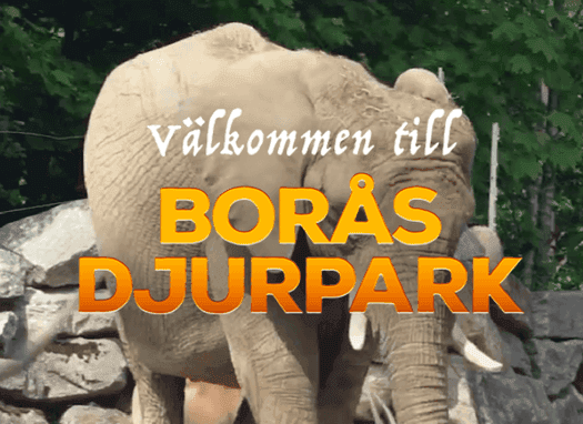 Borås djurpark - 20% rabatt på entrébiljetter med rabattkod